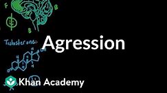 Aggression | Individuals and Society | MCAT | Khan Academy