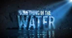 Something in the Water - Carrie Underwood (Lyric Video)