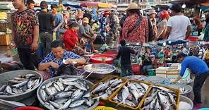 Morning Fish Market Tours - Plenty Fresh Seafood, Alive Fish, Dry Fish, Frog & More In Fish Market