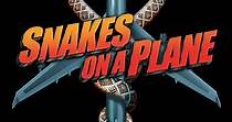Snakes on a Plane streaming: where to watch online?
