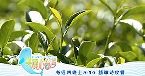 【雲林古坑】來自群山環繞的GABA茶|用心的產業|美麗心台灣(420)預告 - 新唐人亞太電視台