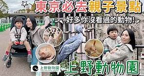 東京必去親子景點特輯！上野動物園12歲以下免費～好多動物你沒看過！好吃好玩又有趣【PIN命💗VLOG】
