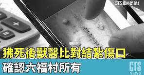 狒死後獸醫比對結紮傷口 確認六福村所有｜華視新聞 20230330