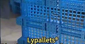 How durable the plastic pallet is?