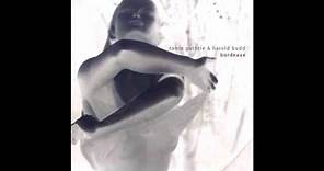 Harold Budd & Robin Guthrie - Bordeaux (2011) (Full Album) [HQ]