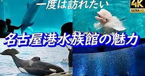 シャチ イルカ ベルーガに癒される【名古屋港水族館】マイワシのトルネード アクアリウム aquarium ずらし旅