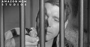 BIRDMAN OF ALCATRAZ (1962) | Official Trailer | MGM
