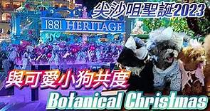 尖沙咀1881 Heritage 聖誕節2023｜「Botanical Christmas」溫室植物園 聖誕好去處2023｜Christmas Decorations 2023