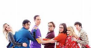 The Big Bang Theory: Season 12 Episode 21 The Plagiarism Schism
