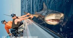 Shark Fishing with New York Mets Pitchers Steven Matz & Sean Gilmartin