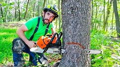 BEGINNER GUIDE TO CUTTING A TREE