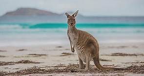 Why Australia is the best place to visit - Tourism Australia