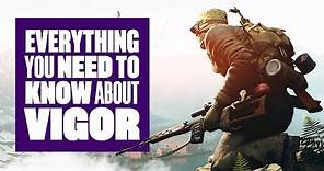 Everything You Need To Know About Vigor