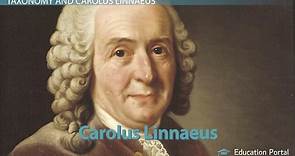 Carl Linnaeus | Life, Taxonomy & Classification System