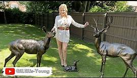 Gill Ellis-Young – Maximum Cleavage Busty Swimwear In The Garden And My New Deer!