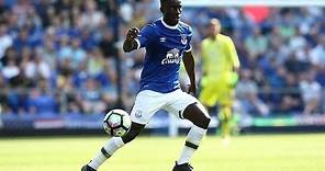Idrissa Gana Gueye - 2016/2017 passes, tackles, goals & highlights