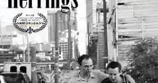 King of Herrings (2013) Online - Película Completa en Español - FULLTV