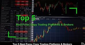 TOP 5 BEST Forex Copy Trading Platforms & Brokers (revealed ) 🔎
