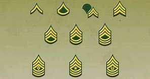 Do you Know Every Rank in the National Guard?