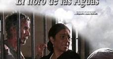 El libro de las aguas (2008) Online - Película Completa en Español - FULLTV