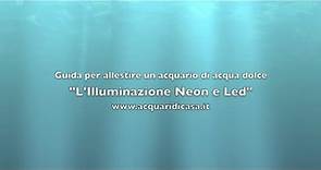 L'Illuminazione Neon e Led (Guida per allestire un acquario di acqua dolce)