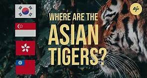 The Asian Tigers: Where Are They Now?