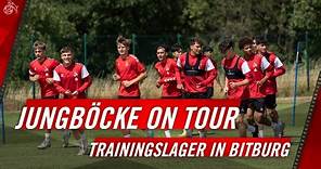 NLZ-Trainingslager VLOG | U17 und U19 in Bitburg | 1. FC Köln