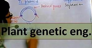 Genetic engineering in plants