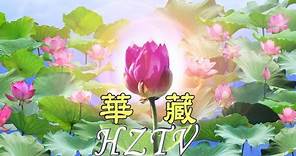 華藏衛視網路直播HZTV LIVE