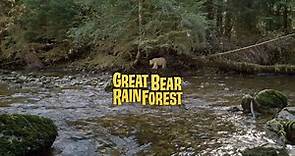 Great Bear Rainforest: Official Trailer