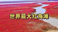 世界最大红海滩，辽宁盘锦红海滩全程旅行记录（上）