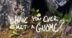Have you ever met a gnome? #animation #art #gnome #nature #huldufolk