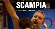 L'oro di Scampia (2014) Online - Película Completa en Español - FULLTV