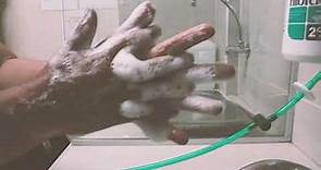 Higiene de Manos: Técnica de los 11 pasos del lavado de manos - Hospital Santa Rosa