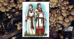 The origins of the Slavic people