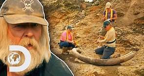 Tony Beets Discovers A Mammoth Tusk Whilst Mining | Gold Rush
