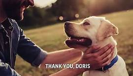 Doris Day, Animal Advocate