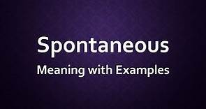 Spontaneous Meaning with Examples