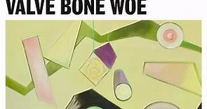 Chrissie Hynde - Valve Bone Woe, the new album from...