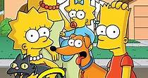 I Simpson Stagione 36 - episodi in streaming online