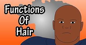 Functions Of Hair - The Purpose Of Hair - Why Do We Have Hair