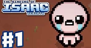 The Binding of Isaac: Rebirth - Gameplay Walkthrough Part 1 - Isaac First Run (PC)