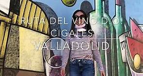 Ruta del Vino de Valladolid en la D.O. Cigales I elblogdeceleste