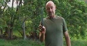Terry O'Quinn - Throwing From The Handle