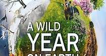 A Wild Year On Earth temporada 1 - Ver todos los episodios online