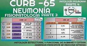 NEUMONÍA ADQUIRIDA EN LA COMUNIDAD CURB -65 (FISIOPATOLOGÍA PARTE 3)| GuiaMed
