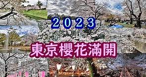2023東京櫻花美不勝收|目黑川|代代木公園|千鳥淵|櫻花雪|夜櫻|満開の桜|桜吹雪|Sakura in Tokyo,Japan