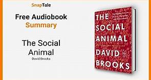 The Social Animal by David Brooks: 11 Minute Summary