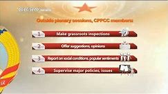 What is China’s CPPCC?