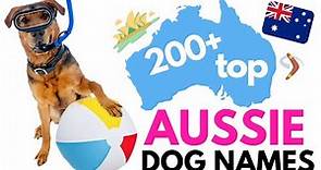 Top 200+ AUSTRALIAN Dog Names: Fun and Unique Names